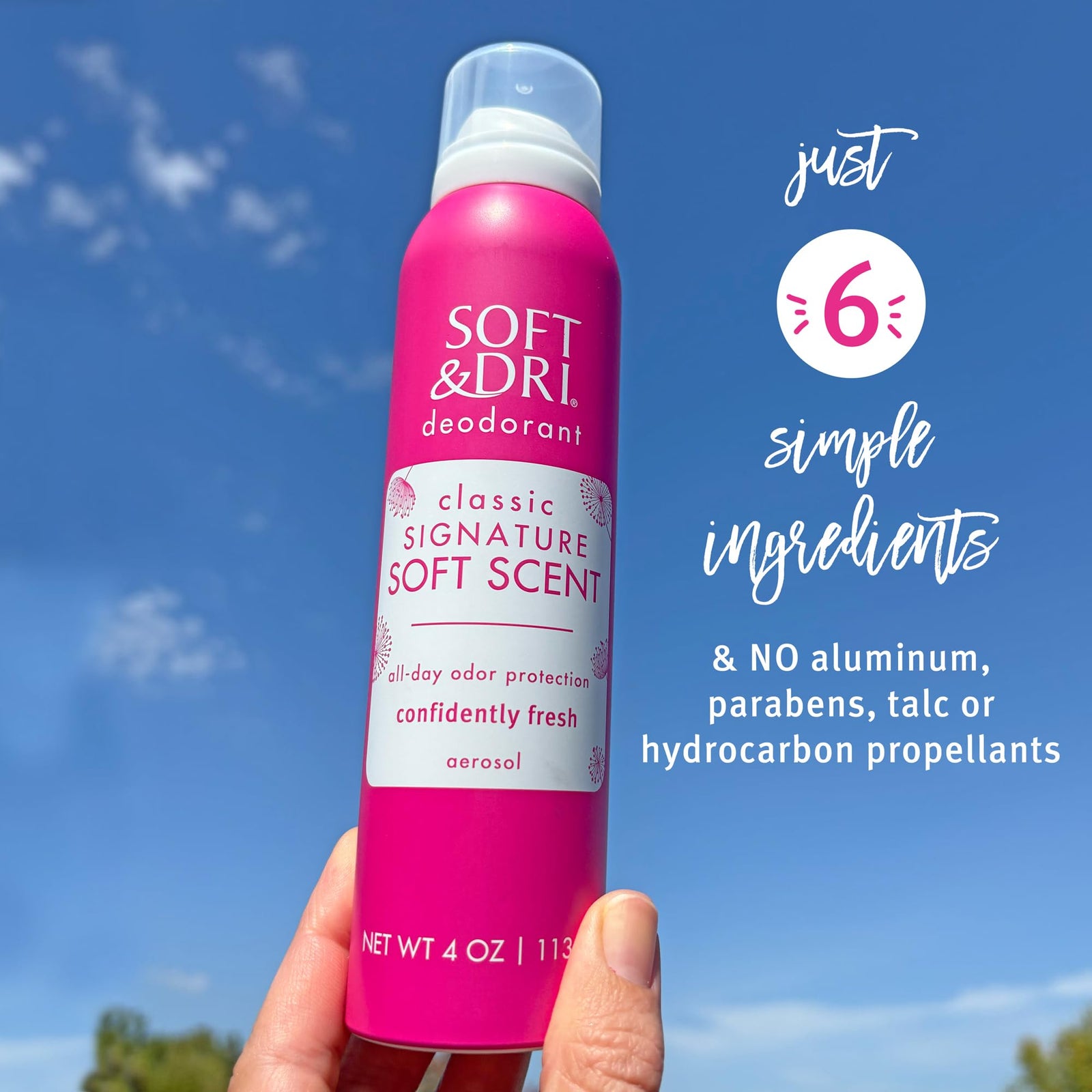 Soft & Dri Classic Signature Soft Scent Aerosol Deodorant