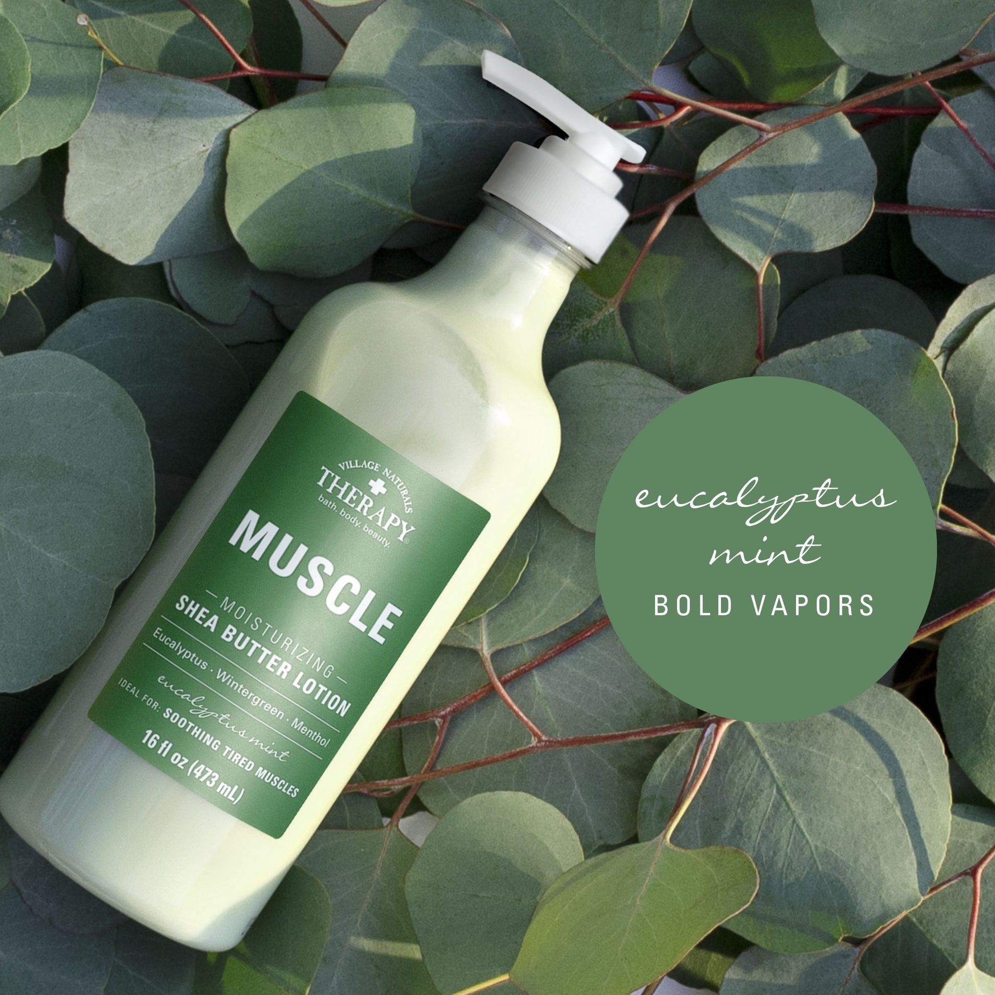 Village Naturals Therapy Muscle Moisturizing Shea Butter Lotion Eucalyptus Mint